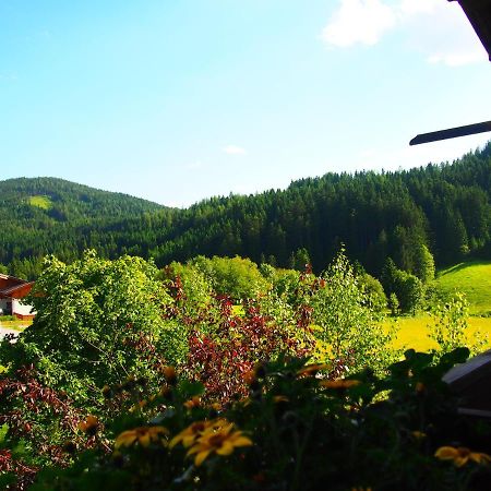 Appartment Kainhofer Sankt Martin am Tennengebirge Bagian luar foto