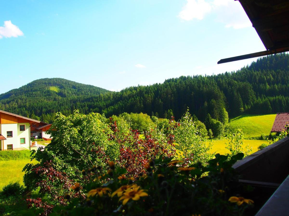 Appartment Kainhofer Sankt Martin am Tennengebirge Bagian luar foto