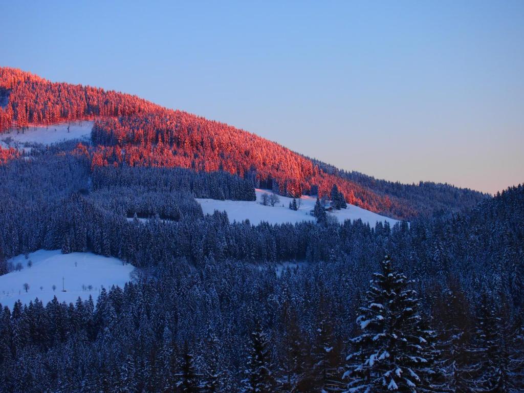 Appartment Kainhofer Sankt Martin am Tennengebirge Bagian luar foto