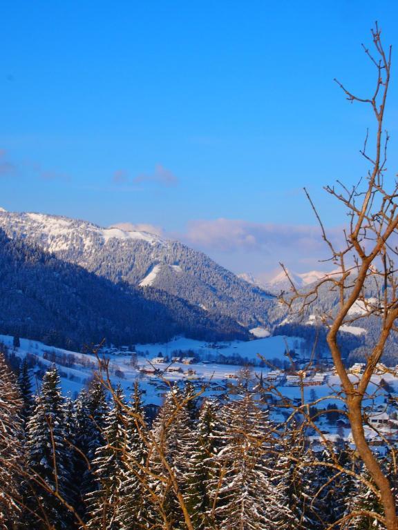 Appartment Kainhofer Sankt Martin am Tennengebirge Bagian luar foto
