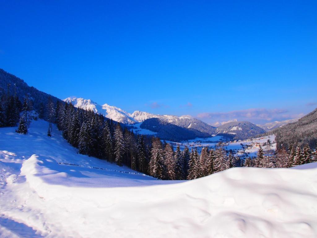 Appartment Kainhofer Sankt Martin am Tennengebirge Bagian luar foto