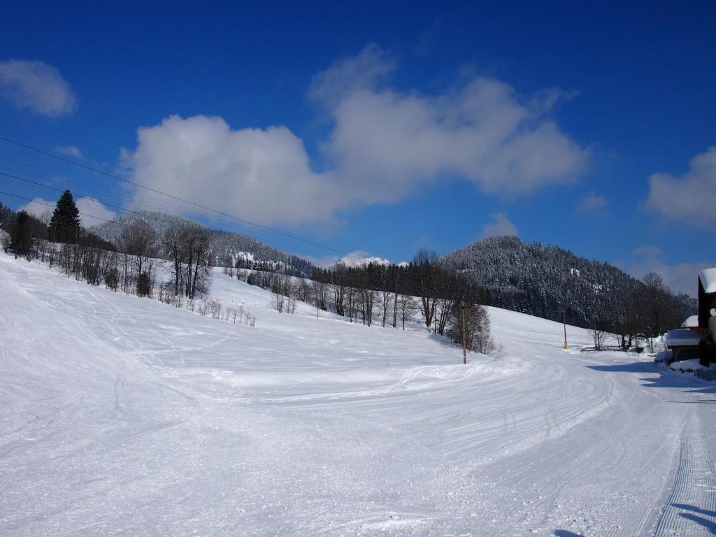 Appartment Kainhofer Sankt Martin am Tennengebirge Bagian luar foto