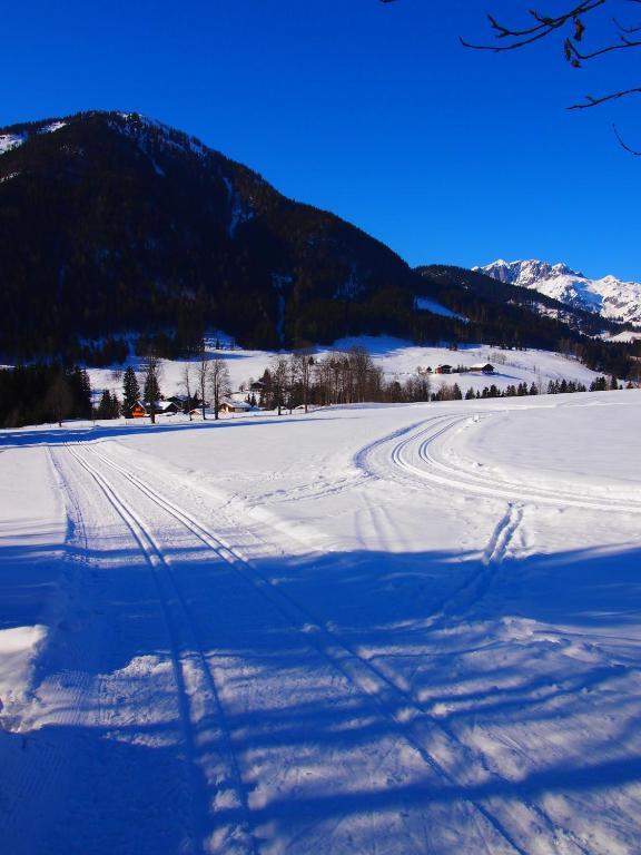 Appartment Kainhofer Sankt Martin am Tennengebirge Bagian luar foto